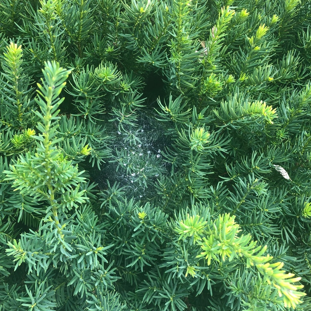 Reserved for @folllw_mybags